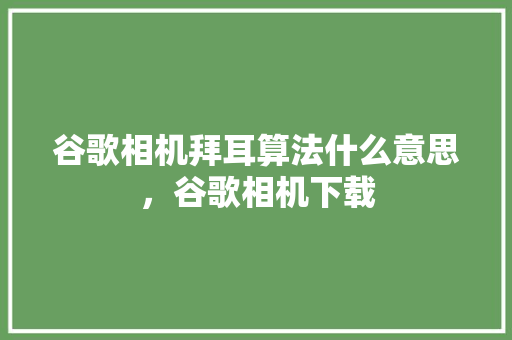 谷歌相机拜耳算法什么意思，谷歌相机下载 网站开发