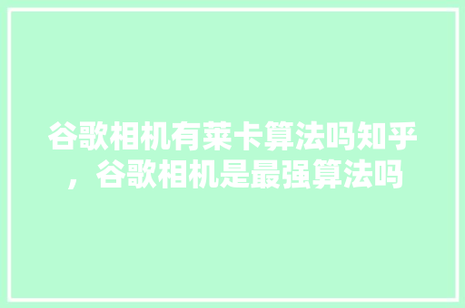 谷歌相机有莱卡算法吗知乎，谷歌相机是最强算法吗 网站优化