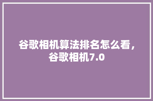 谷歌相机算法排名怎么看，谷歌相机7.0