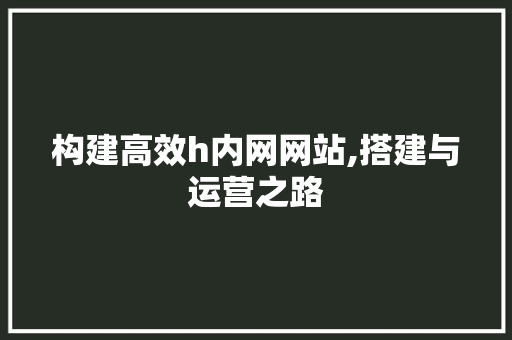 构建高效h内网网站,搭建与运营之路 构建高效h内网网站,搭建与运营之路 网站开发