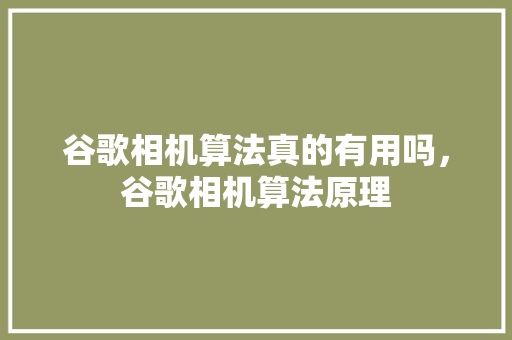 谷歌相机算法真的有用吗，谷歌相机算法原理