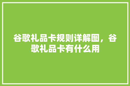谷歌礼品卡规则详解图，谷歌礼品卡有什么用