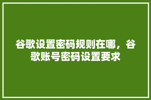 谷歌设置密码规则在哪，谷歌账号密码设置要求