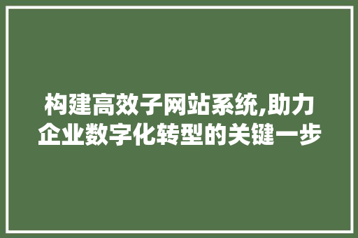 构建高效子网站系统,助力企业数字化转型的关键一步