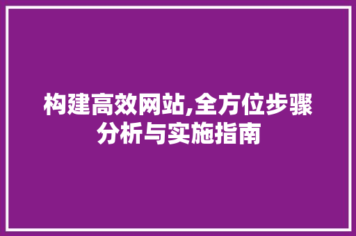 构建高效网站,全方位步骤分析与实施指南 构建高效网站,全方位步骤分析与实施指南 网站优化
