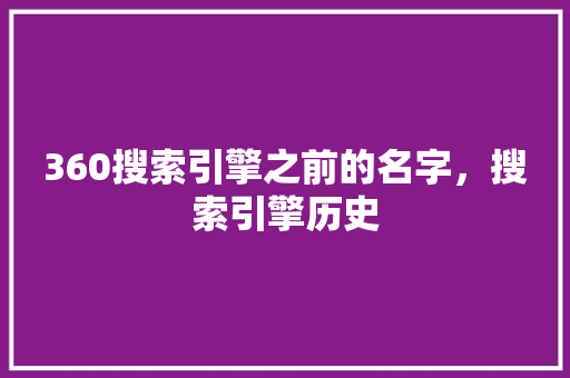 360搜索引擎之前的名字，搜索引擎历史