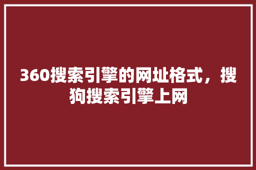 360搜索引擎的网址格式，搜狗搜索引擎上网