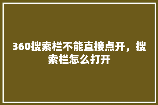 360搜索栏不能直接点开，搜索栏怎么打开 搜狗优化