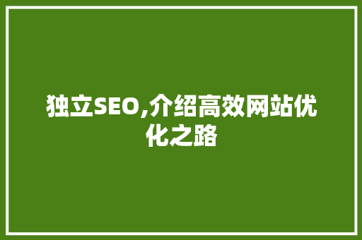 独立SEO,介绍高效网站优化之路 百度算法