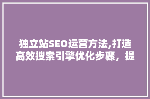 独立站SEO运营方法,打造高效搜索引擎优化步骤，提升网站流量与转化率
