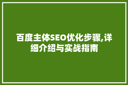 百度主体SEO优化步骤,详细介绍与实战指南