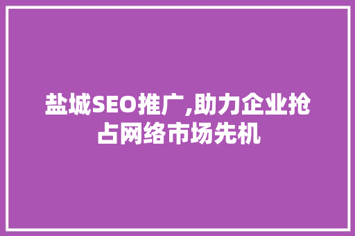 盐城SEO推广,助力企业抢占网络市场先机
