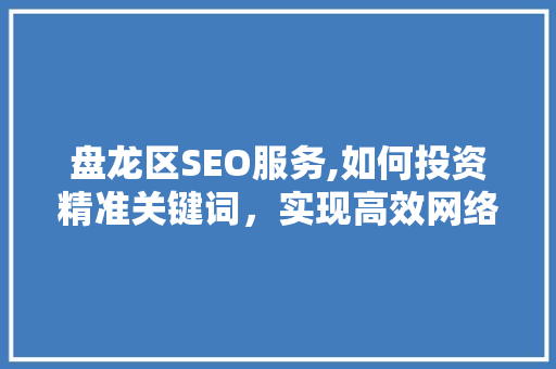 盘龙区SEO服务,如何投资精准关键词，实现高效网络营销 网站优化