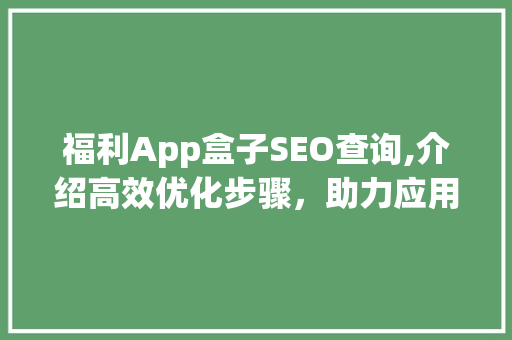 福利App盒子SEO查询,介绍高效优化步骤，助力应用脱颖而出
