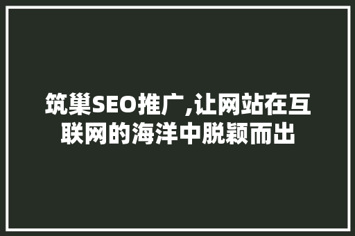 筑巢SEO推广,让网站在互联网的海洋中脱颖而出