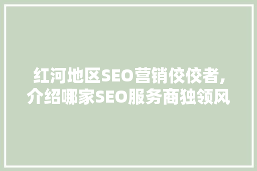 红河地区SEO营销佼佼者,介绍哪家SEO服务商独领风骚 网站优化