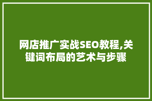 网店推广实战SEO教程,关键词布局的艺术与步骤 360搜优化