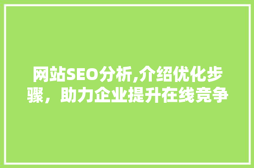 网站SEO分析,介绍优化步骤，助力企业提升在线竞争力 百度算法