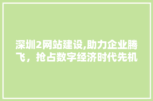 深圳2网站建设,助力企业腾飞，抢占数字经济时代先机