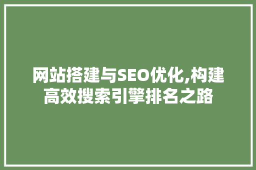 网站搭建与SEO优化,构建高效搜索引擎排名之路