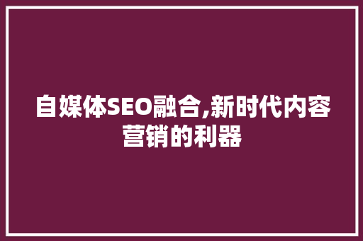 自媒体SEO融合,新时代内容营销的利器