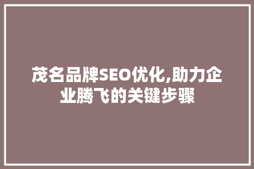 茂名品牌SEO优化,助力企业腾飞的关键步骤