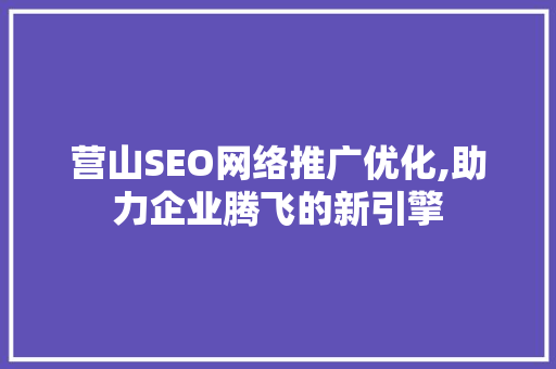 营山SEO网络推广优化,助力企业腾飞的新引擎