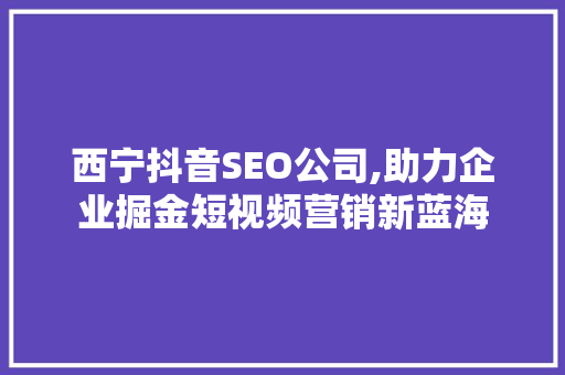 西宁抖音SEO公司,助力企业掘金短视频营销新蓝海 seo技术