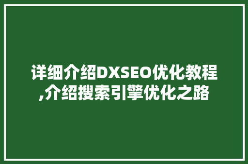 详细介绍DXSEO优化教程,介绍搜索引擎优化之路 360搜优化