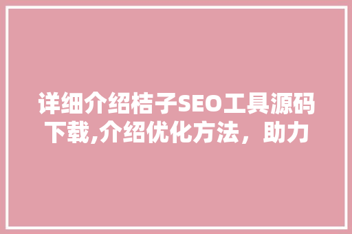 详细介绍桔子SEO工具源码下载,介绍优化方法，助力网站排名提升 小程序开发