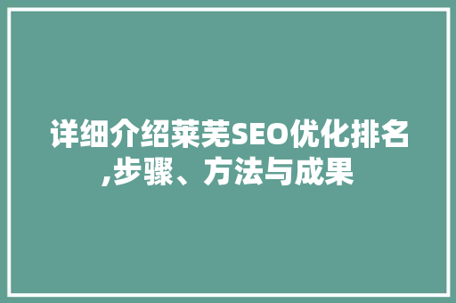 详细介绍莱芜SEO优化排名,步骤、方法与成果