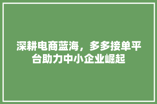 深耕电商蓝海，多多接单平台助力中小企业崛起 深耕电商蓝海，多多接单平台助力中小企业崛起 seo技术