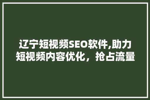 辽宁短视频SEO软件,助力短视频内容优化，抢占流量高地
