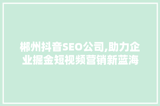 郴州抖音SEO公司,助力企业掘金短视频营销新蓝海