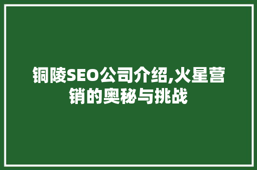 铜陵SEO公司介绍,火星营销的奥秘与挑战