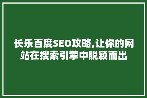 长乐百度SEO攻略,让你的网站在搜索引擎中脱颖而出