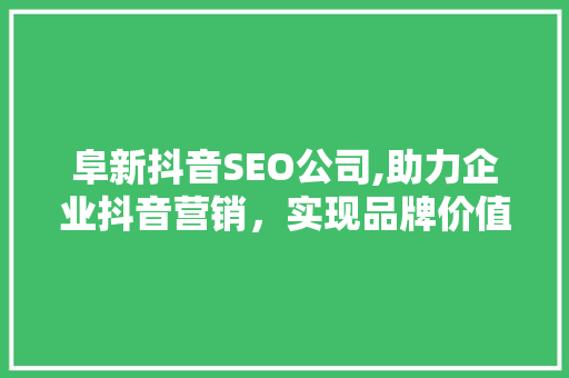 阜新抖音SEO公司,助力企业抖音营销，实现品牌价值飞跃