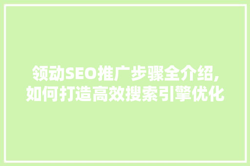 领动SEO推广步骤全介绍,如何打造高效搜索引擎优化方法 搜狗优化