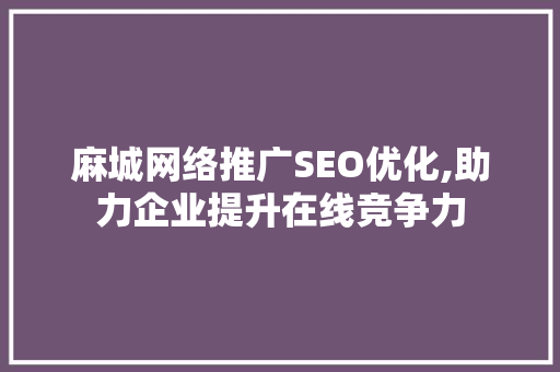 麻城网络推广SEO优化,助力企业提升在线竞争力 seo技术