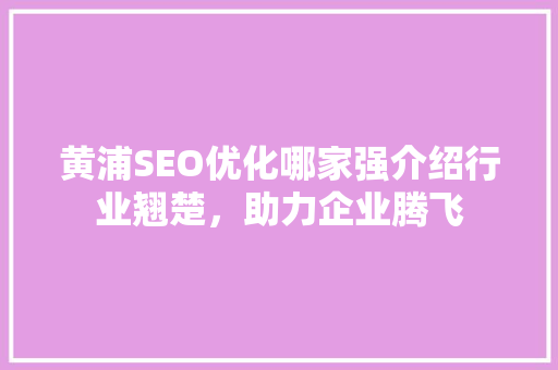黄浦SEO优化哪家强介绍行业翘楚，助力企业腾飞 seo技术