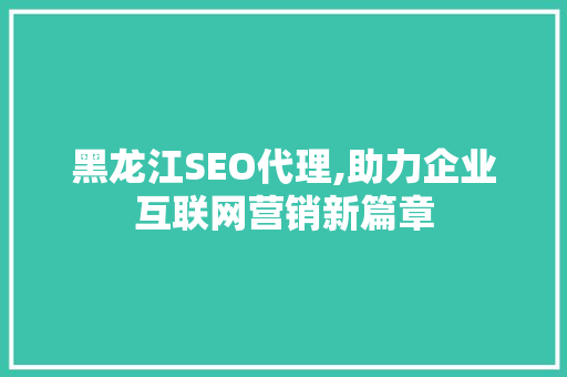 黑龙江SEO代理,助力企业互联网营销新篇章 seo技术