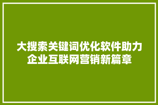 大搜索关键词优化软件助力企业互联网营销新篇章 网站开发