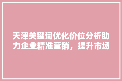 天津关键词优化价位分析助力企业精准营销，提升市场竞争力 小程序开发