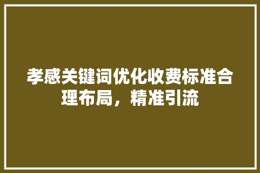 孝感关键词优化收费标准合理布局，精准引流 小程序开发