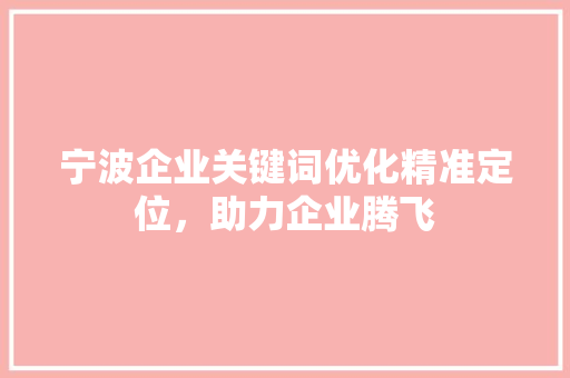 宁波企业关键词优化精准定位，助力企业腾飞 AI技术学习