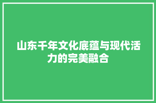 山东千年文化底蕴与现代活力的完美融合