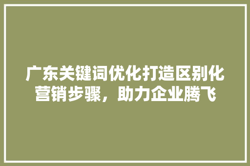 广东关键词优化打造区别化营销步骤，助力企业腾飞