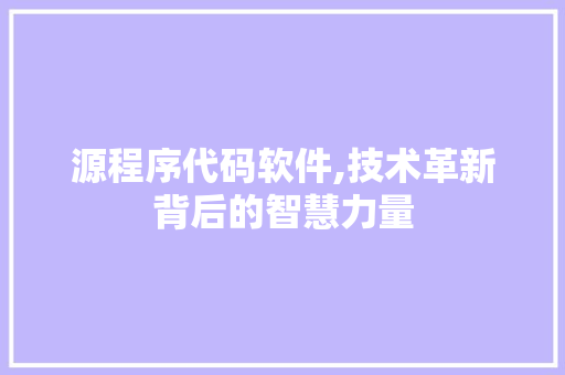 源程序代码软件,技术革新背后的智慧力量 源程序代码软件,技术革新背后的智慧力量 网站优化