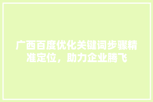 广西百度优化关键词步骤精准定位，助力企业腾飞
