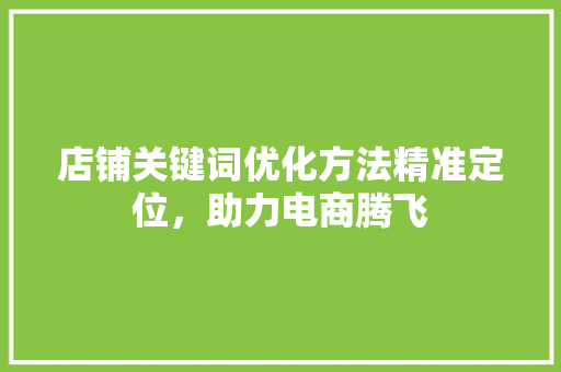 店铺关键词优化方法精准定位，助力电商腾飞 网站开发